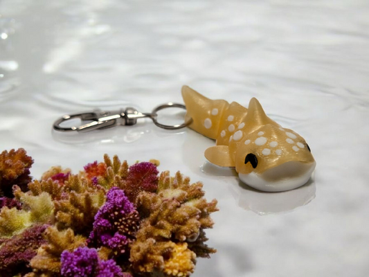 Vaļhaizivs - dzeltenā krāsā