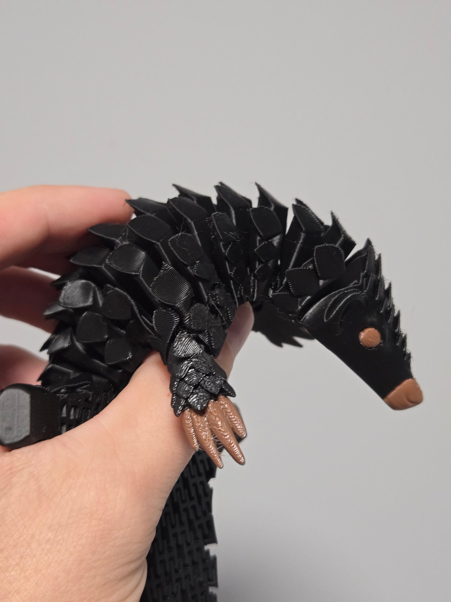 Pangolīns - melnā krāsā