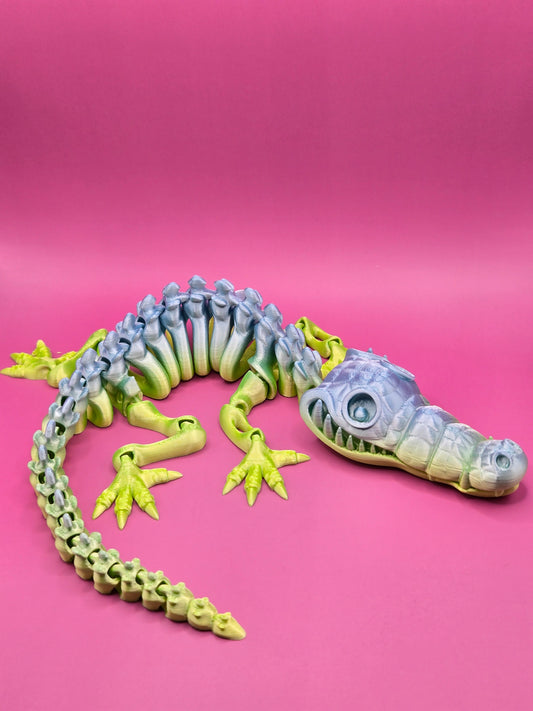 Krokodīla skelets