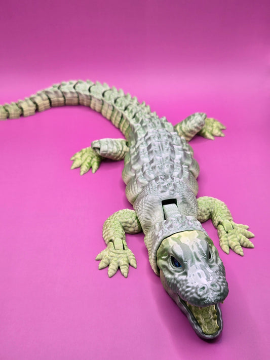 Zilacainais aligators