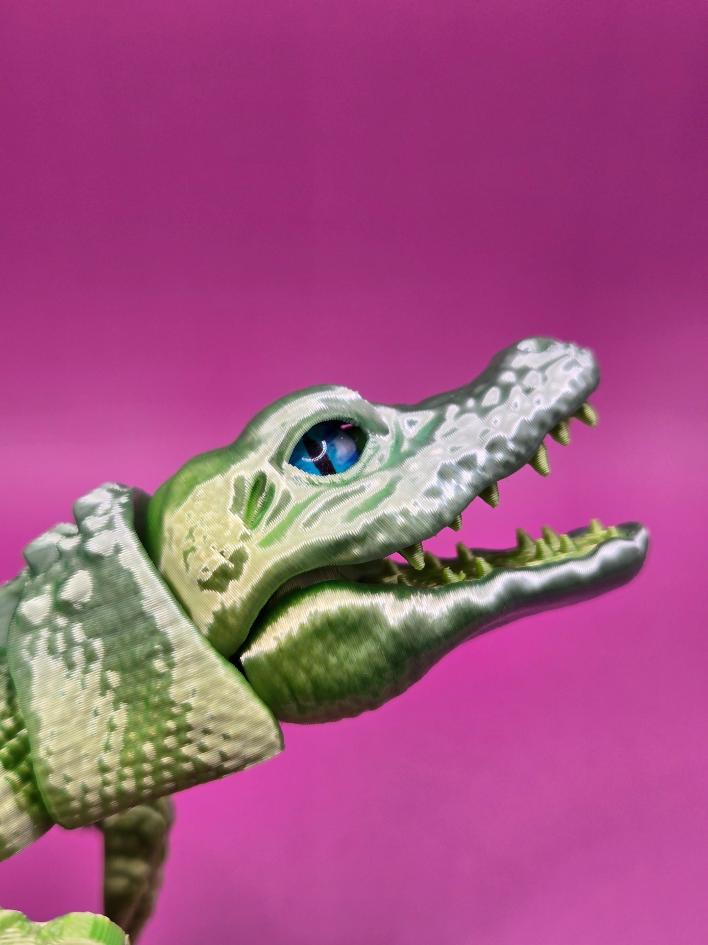 Zilacainais aligators