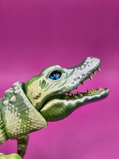 Zilacainais aligators