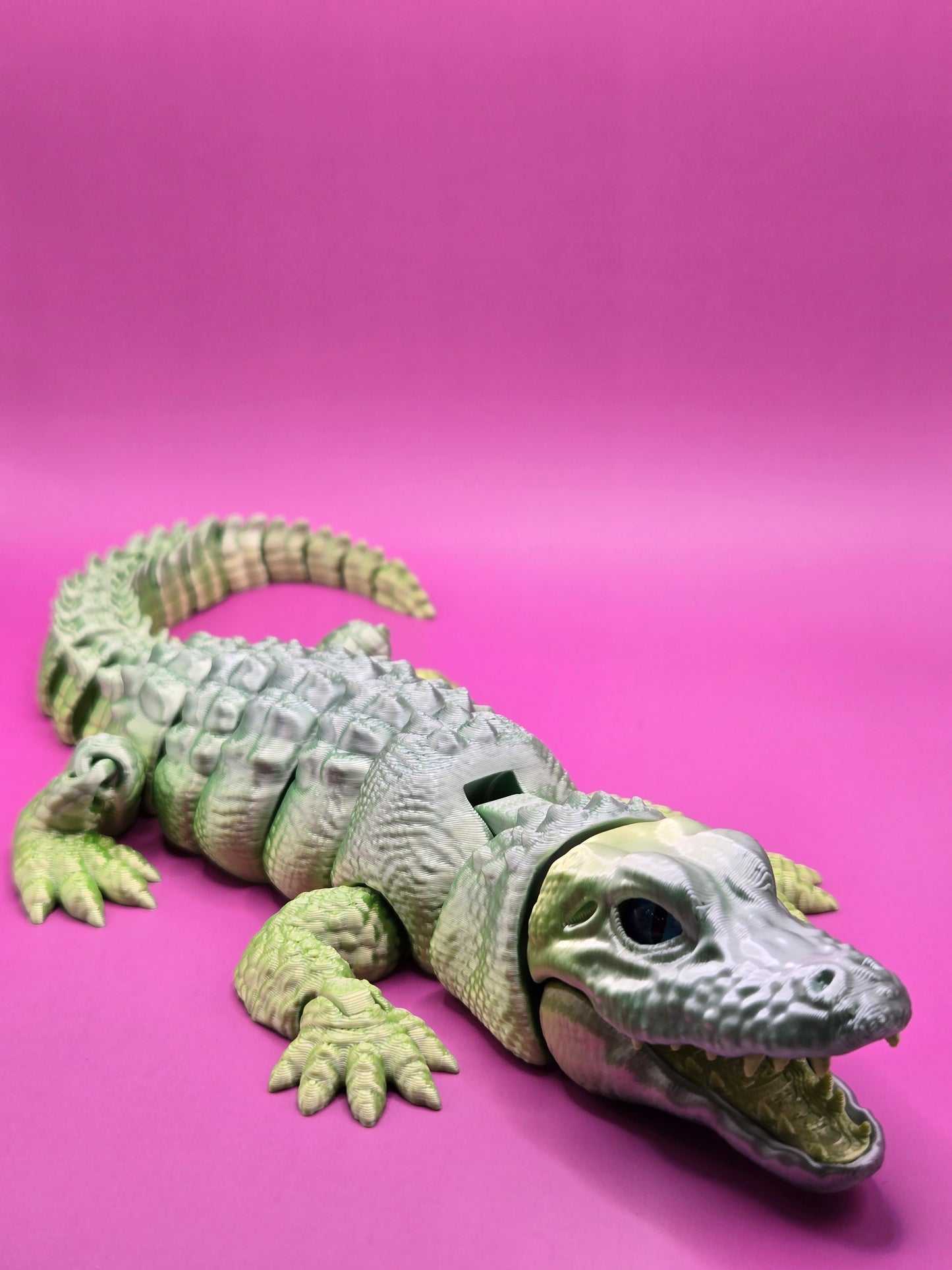 Zilacainais aligators